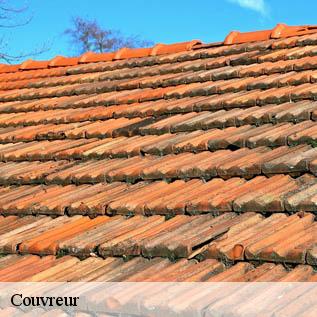 Couvreur Sarthe