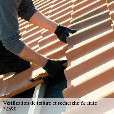 Vérification de toiture et recherche de fuite  72390