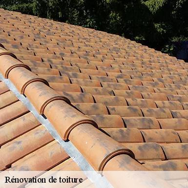 Rénovation de toiture  72270