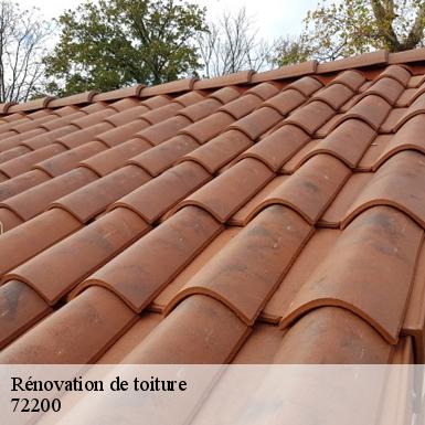 Rénovation de toiture  72200