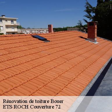 Rénovation de toiture  72390