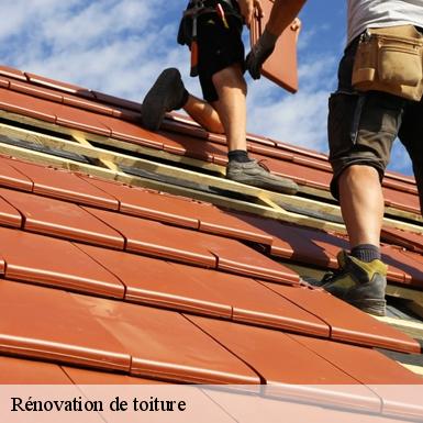 Rénovation de toiture  72470