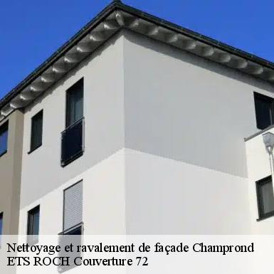 Nettoyage et ravalement de façade  72320