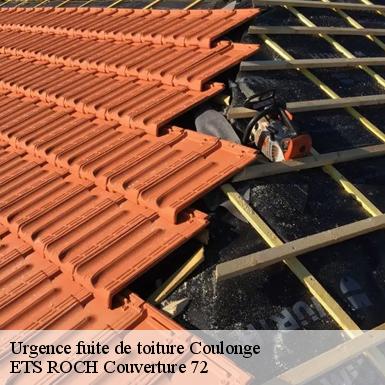 Urgence fuite de toiture  72800